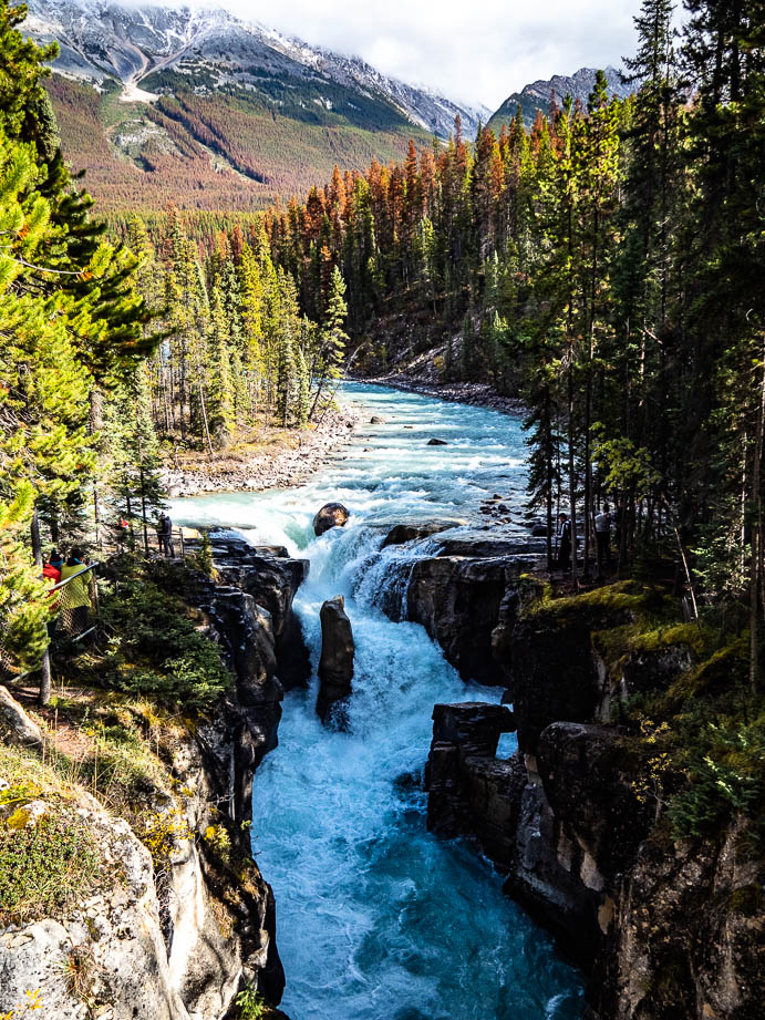 Sunwapta falls dans le parc de Jasper au Canada