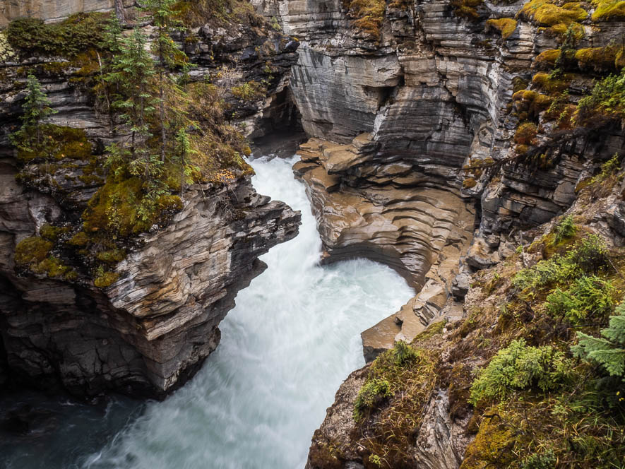 Athabasca falls dans le parc de Jasper au Canada