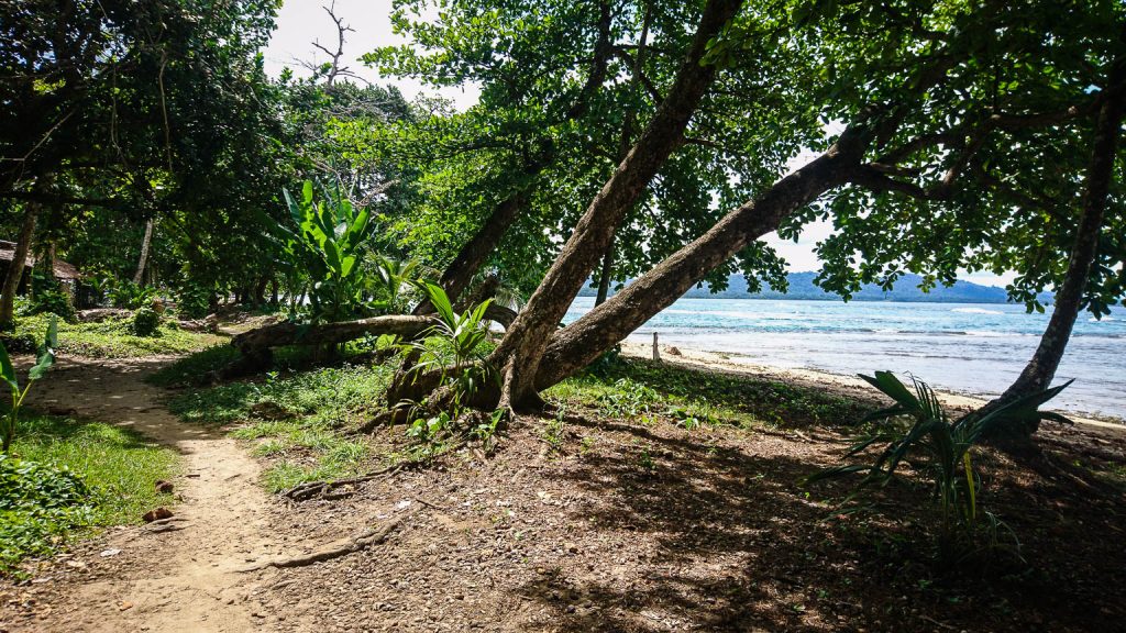 Sentier le long de la plage de Puerto Viejo au Costa Rica