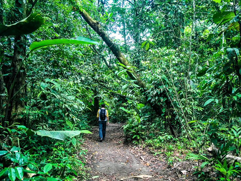 Parque Nacional de Tortuguero au Costa Rica