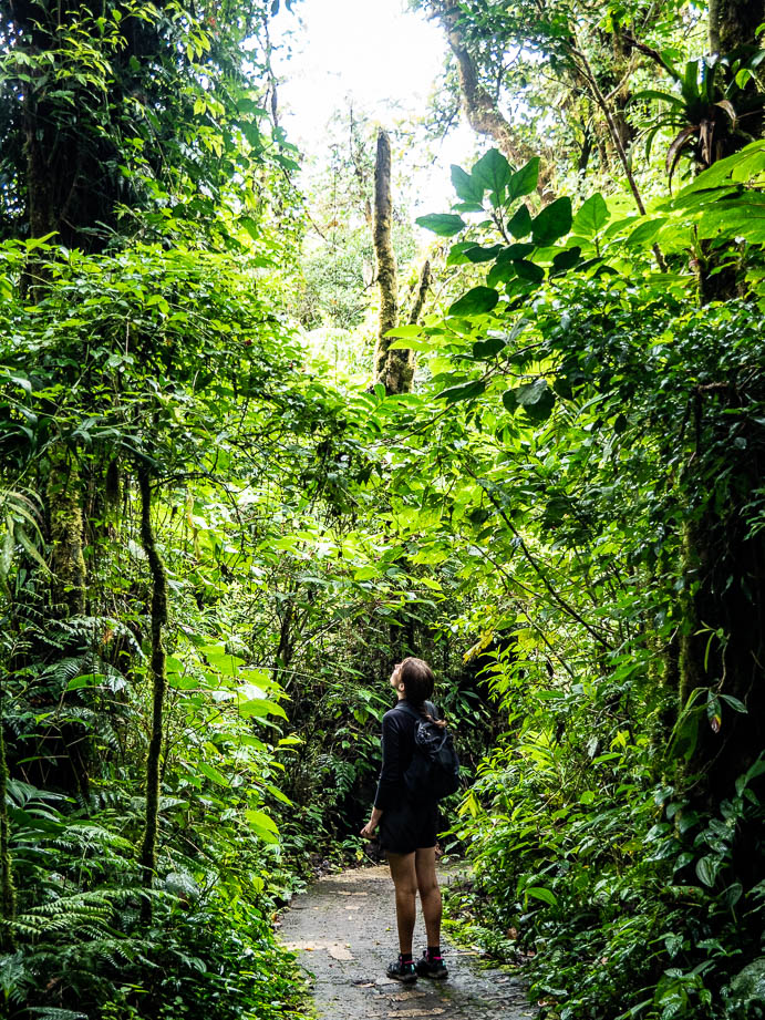 Selvatura Park de Monteverde au Costa Rica