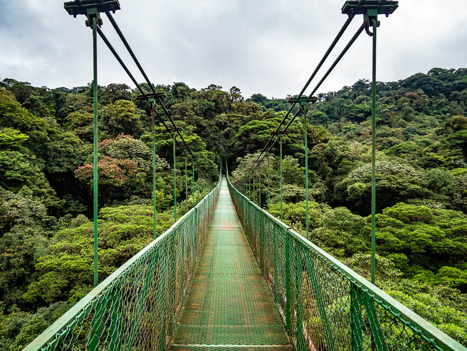 Ponts suspendus du Selvatura park à Monteverde au Costa Rica