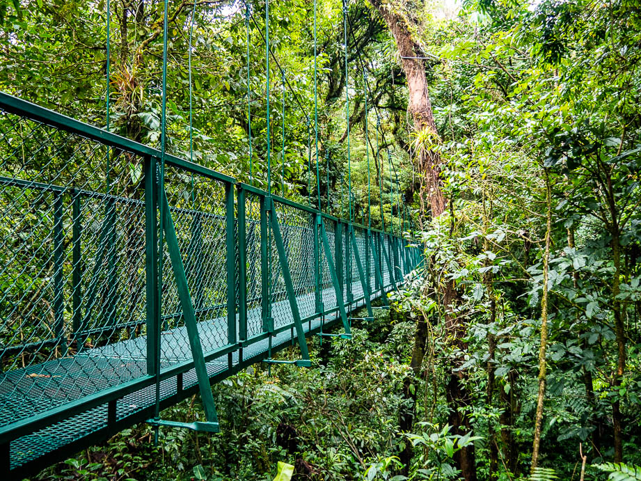 Ponts suspendus du Selvatura park à Monteverde au Costa Rica