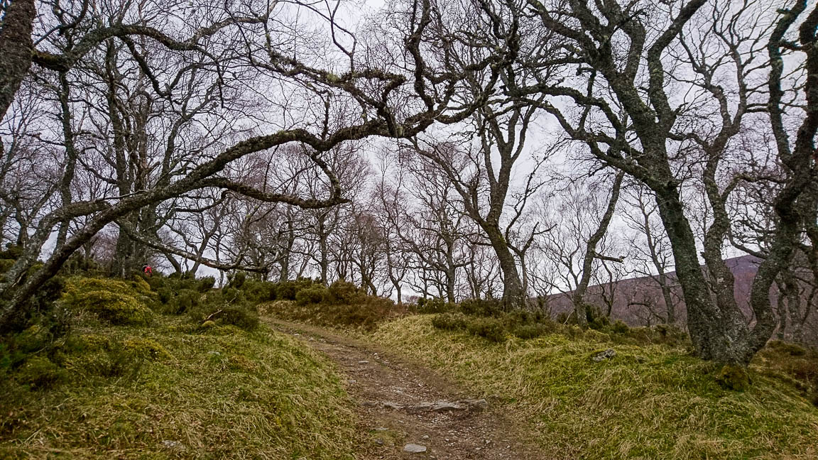 Randonnée dans le parc nationel des Cairngorms en Ecosse